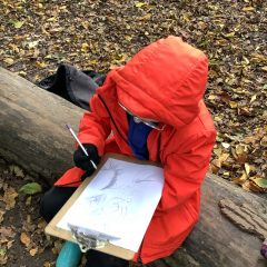 Autumnal art week