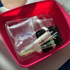 Primary 1 – Design & Technology – Autumn 2