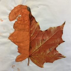 Primary 1 – Art – Spring 1
